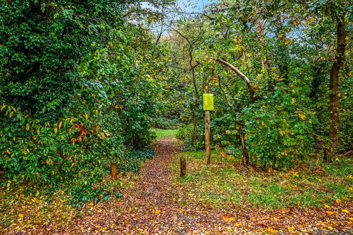 Bekijk foto 48 van Regentesselaan 30