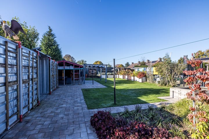 Foto 46 van Schiffelderstraat 11