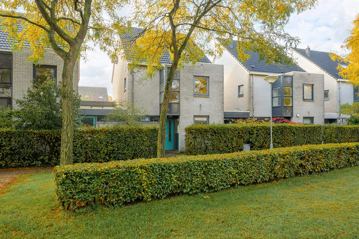 Foto 1 van Steppevlinder 11