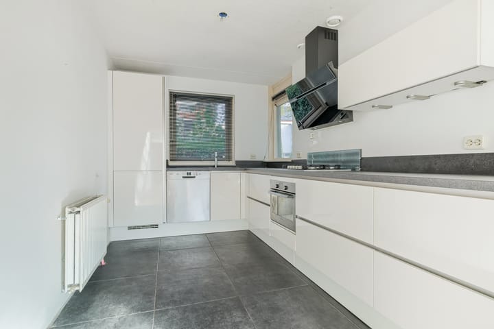 Foto 3 van Steppevlinder 11