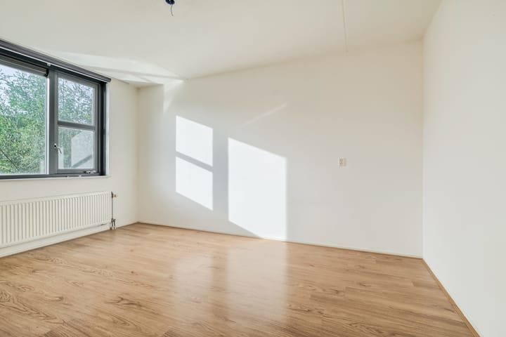 Foto 4 van Steppevlinder 11