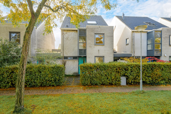 Foto 7 van Steppevlinder 11