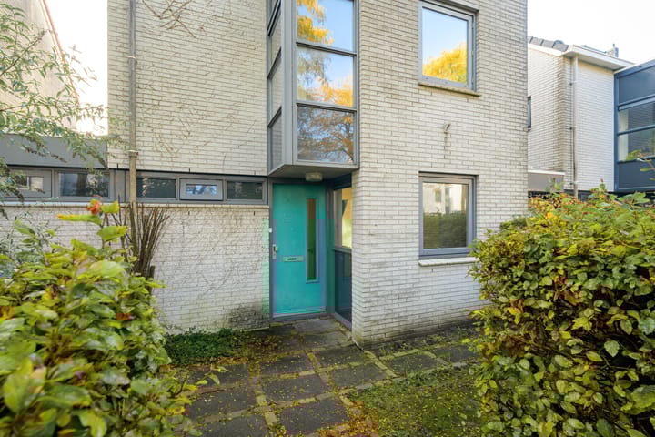 Foto 8 van Steppevlinder 11