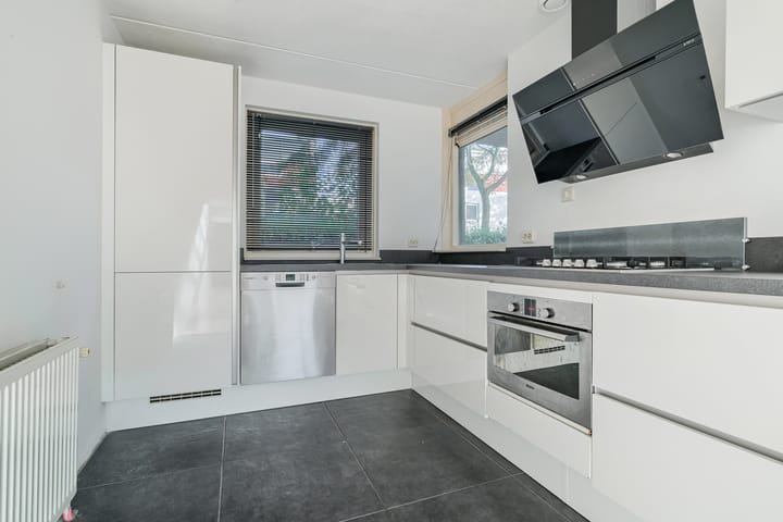 Foto 15 van Steppevlinder 11