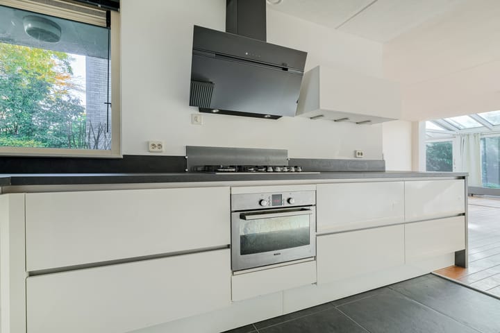 Foto 16 van Steppevlinder 11