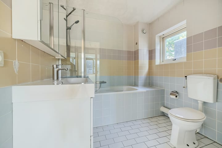 Foto 24 van Steppevlinder 11