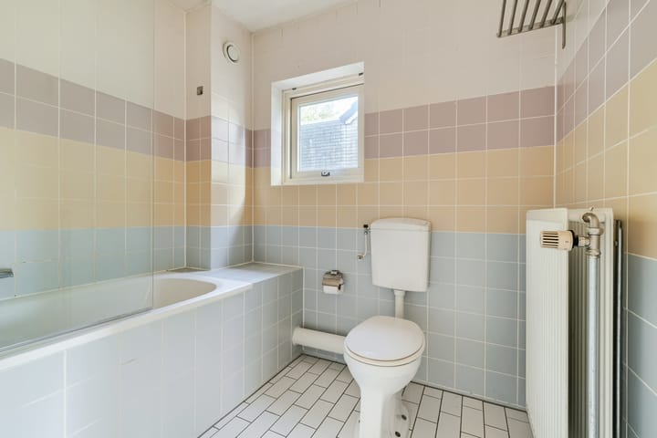 Foto 25 van Steppevlinder 11