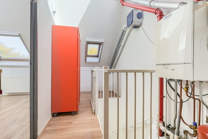 Foto 31 van Steppevlinder 11