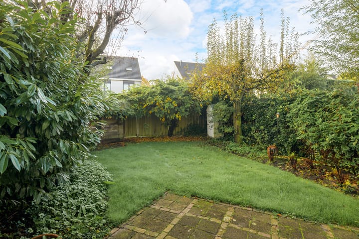 Foto 37 van Steppevlinder 11