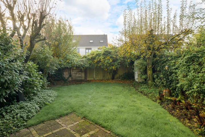 Foto 38 van Steppevlinder 11