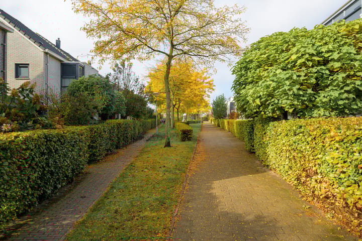 Foto 40 van Steppevlinder 11