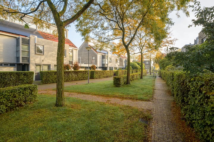 Foto 41 van Steppevlinder 11