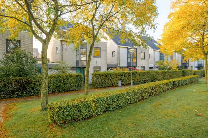 Foto 42 van Steppevlinder 11