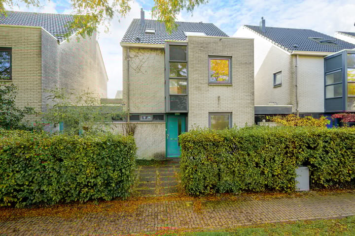 Foto 44 van Steppevlinder 11