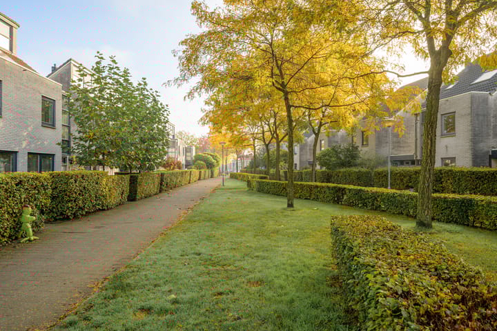 Foto 45 van Steppevlinder 11