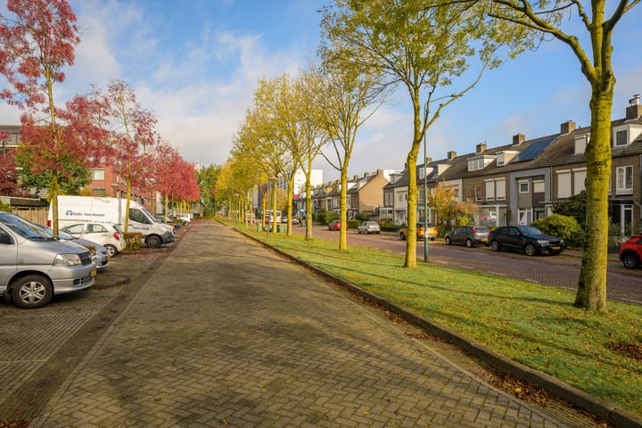 Foto 46 van Steppevlinder 11