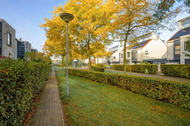 Foto 47 van Steppevlinder 11