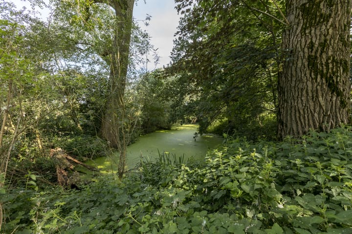 Foto 85 van Gravenweg 5