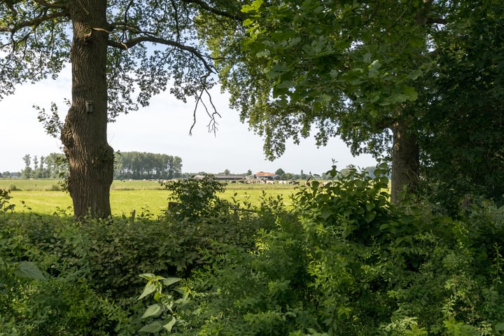 View photo 86 of Gravenweg 5