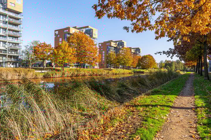 Foto 50 van Havenpark 22