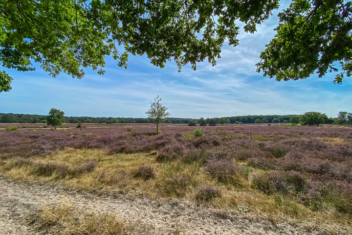 Bekijk foto 38 van Van Brakellaan 20