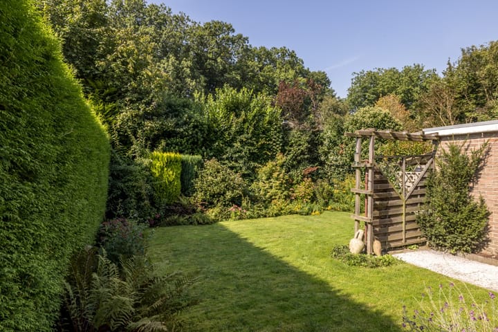 Foto 17 van Hendrik Consciencestraat 8