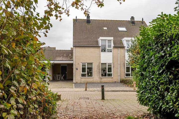 undefined main image