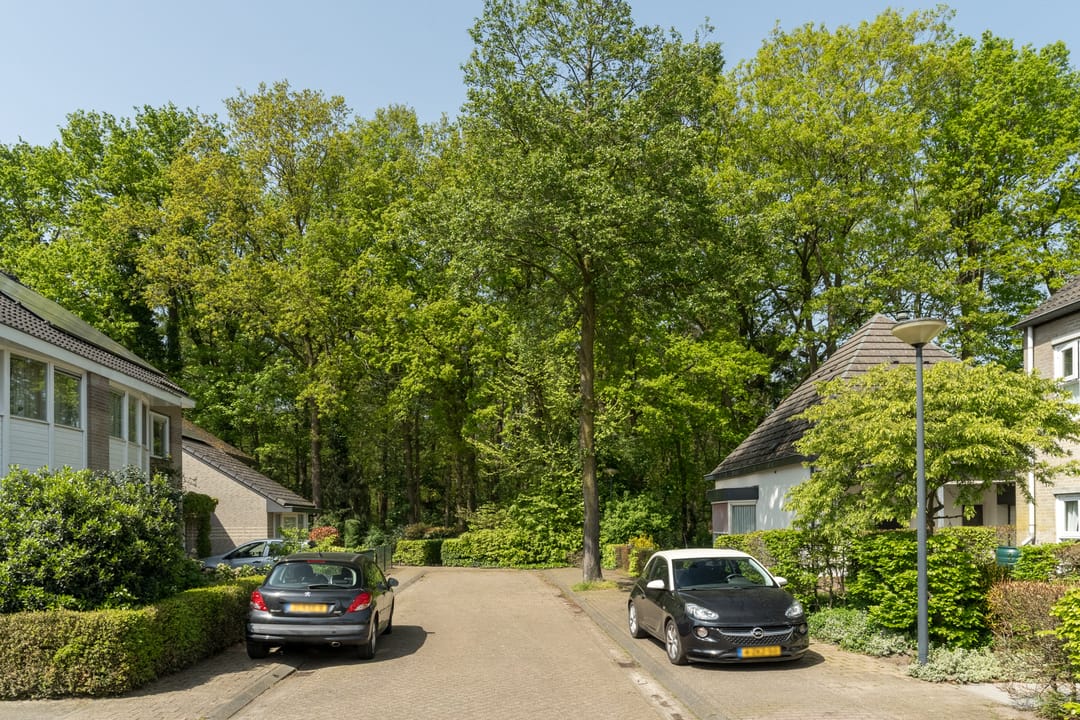 Foto 32 van Nieuwe Dreef 18