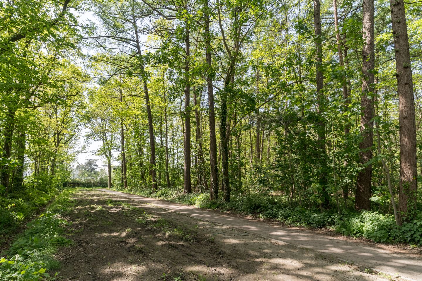 Foto 34 van Nieuwe Dreef 18