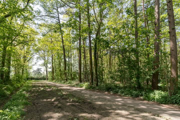 Foto 34 van Nieuwe Dreef 18