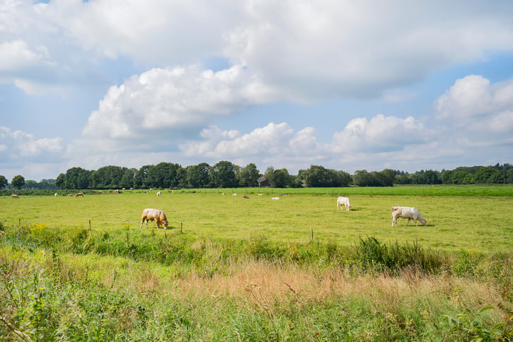 Bekijk foto 35 van Nieuwe Dreef 18