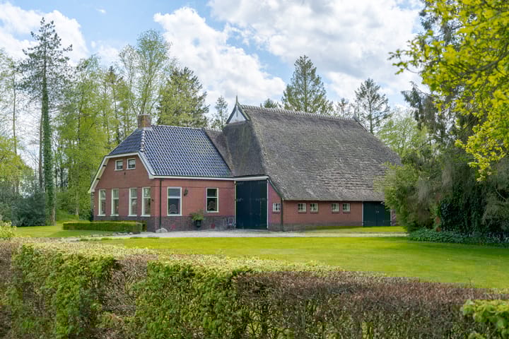 undefined main image
