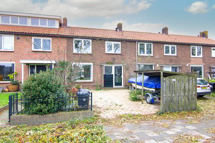 undefined main image