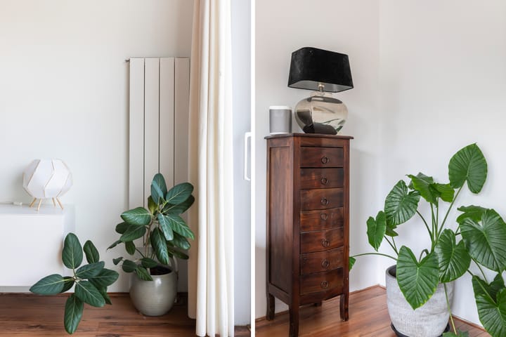 Foto 14 van Van der Vormhaven 7