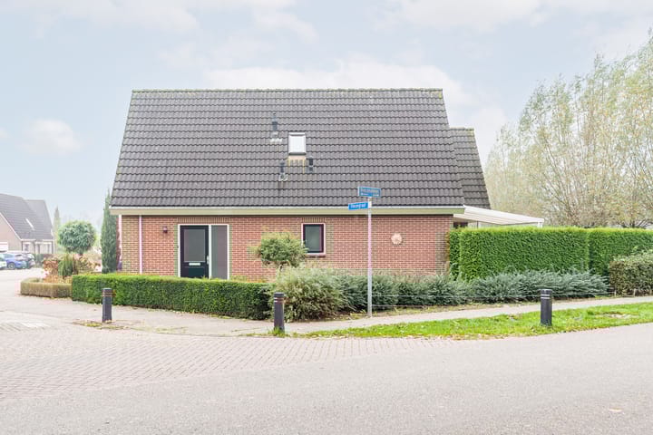 Foto 9 van Riezegraaf 2