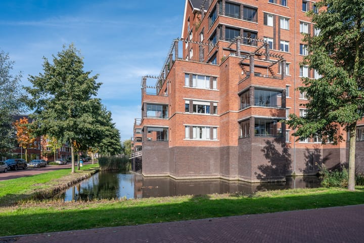 Foto 45 van Donjon 4