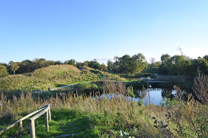 Bekijk foto 67 van Het Eiland 46