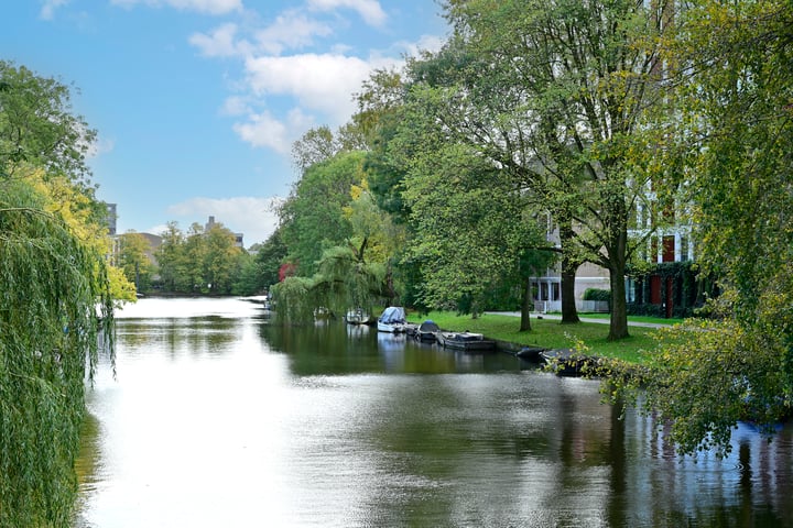 Bekijk foto 30 van Fred. Roeskestraat 92-C1