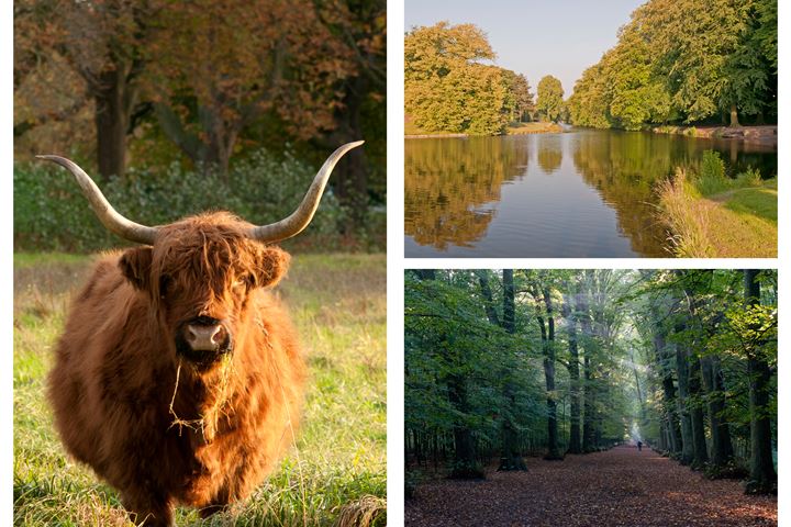 Bekijk foto 40 van Zeelandlaan 13