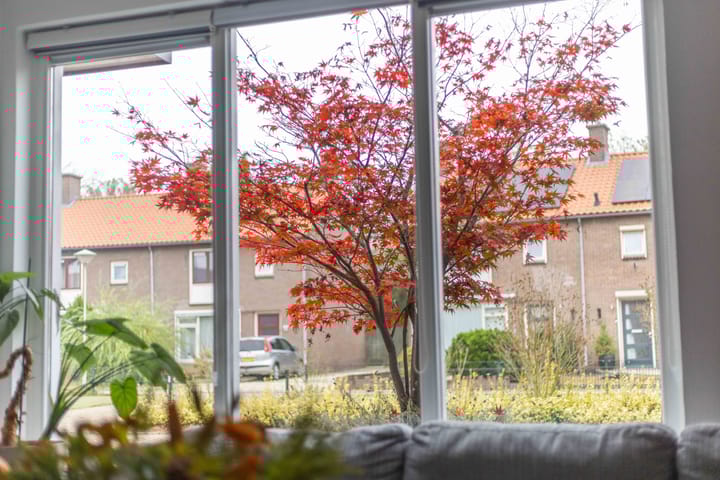 Foto 10 van Paltzstraat 20