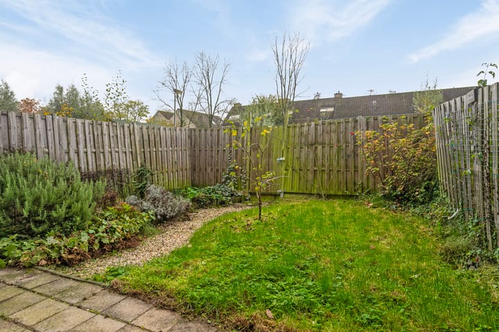 Foto 5 van Terneuzenstraat 83