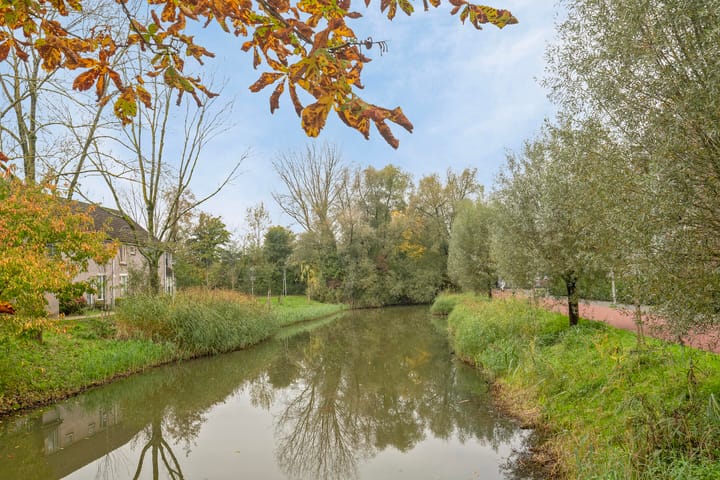 Foto 20 van Terneuzenstraat 83