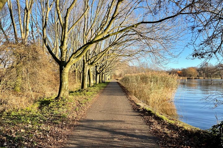 Bekijk foto 43 van Lupinesingel 640