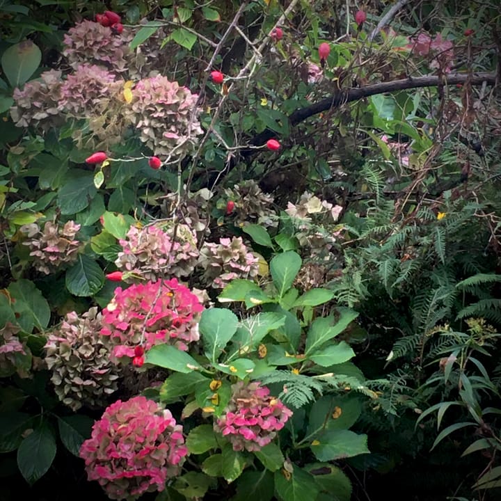 Foto 30 van Julianastraat 49