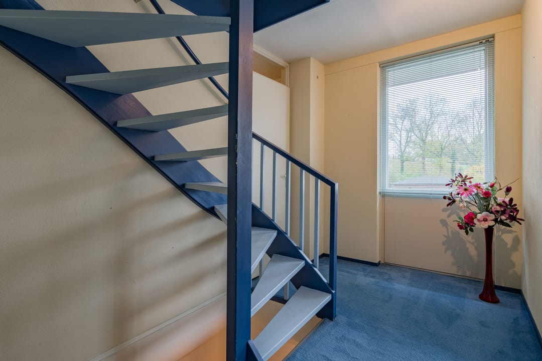 Foto 17 van Daslook 63