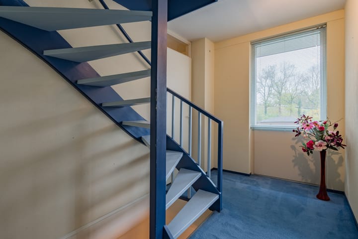 Foto 17 van Daslook 63