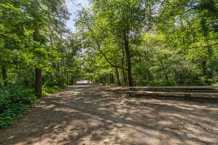 Bekijk foto 40 van Schoutenkampweg 77