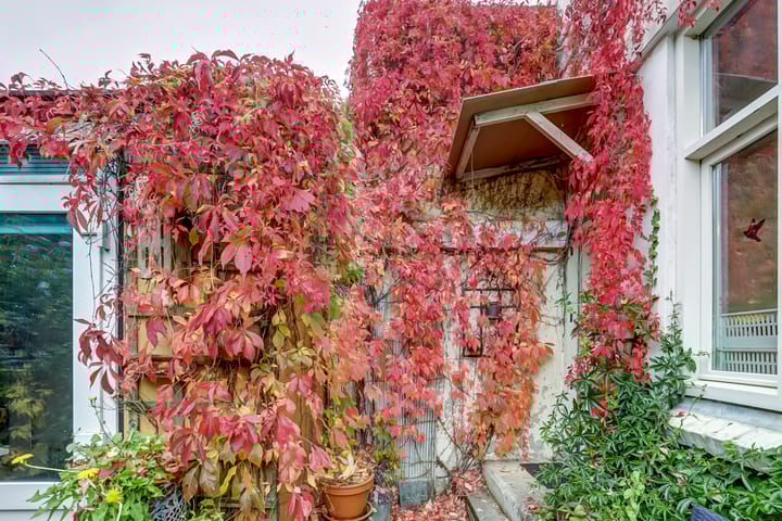 Foto 22 van Hobeinstraat 9