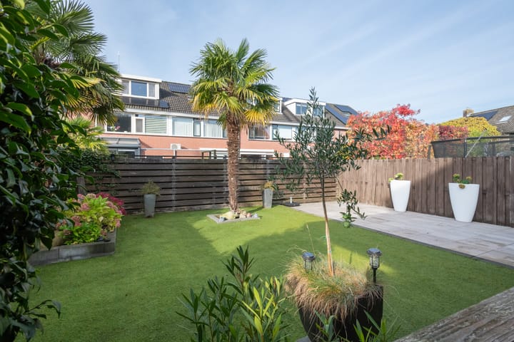 Foto 16 van Pelikaan 50