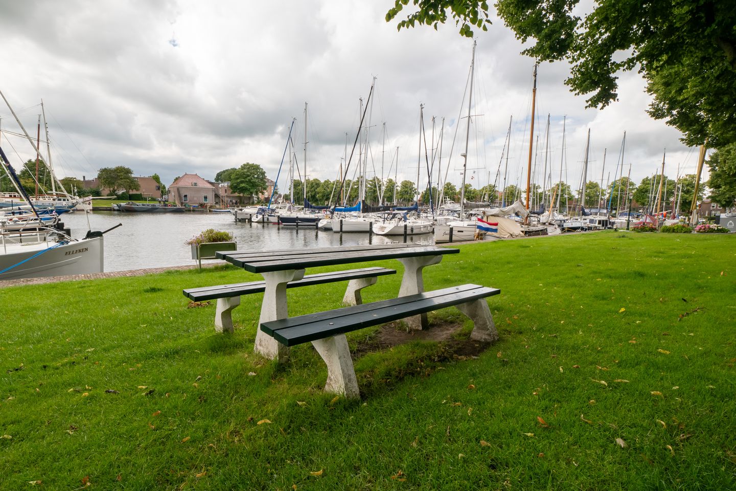 Foto 50 van Westerhaven 19